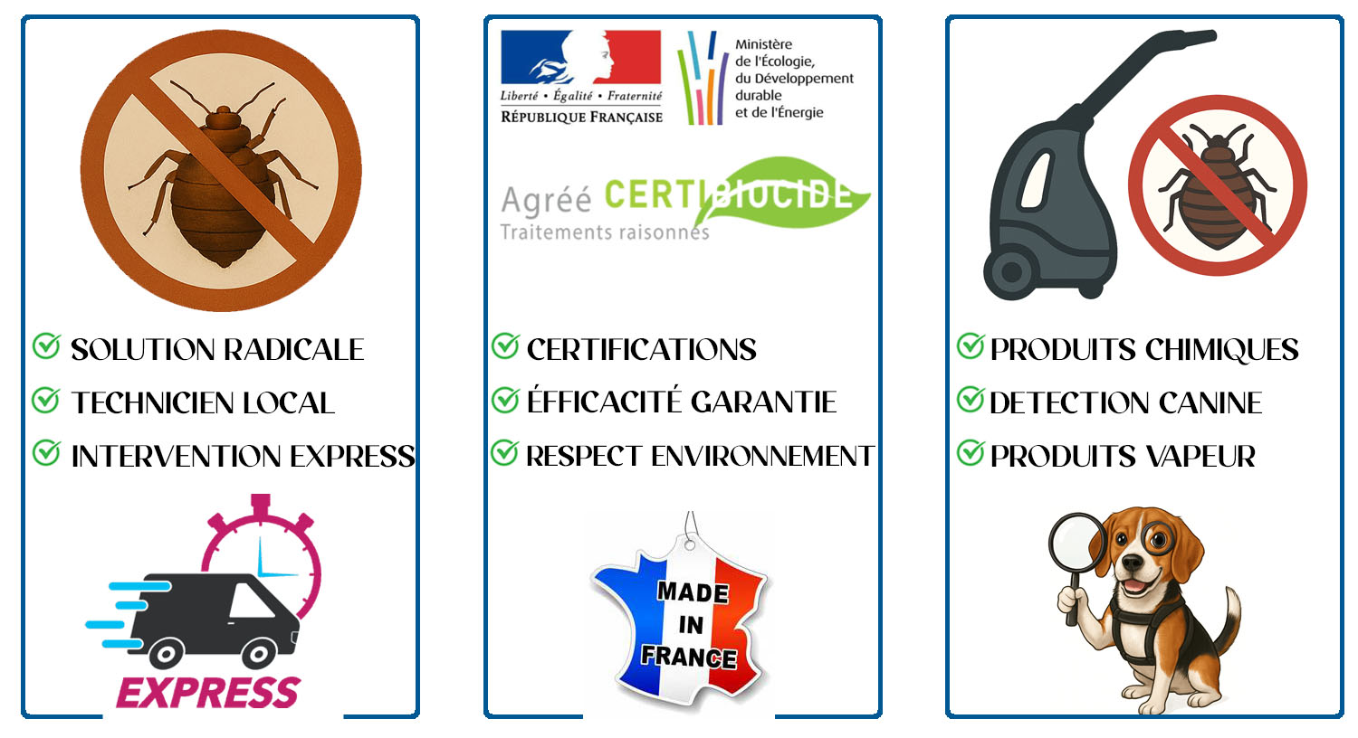 Punaises de Lit Margency