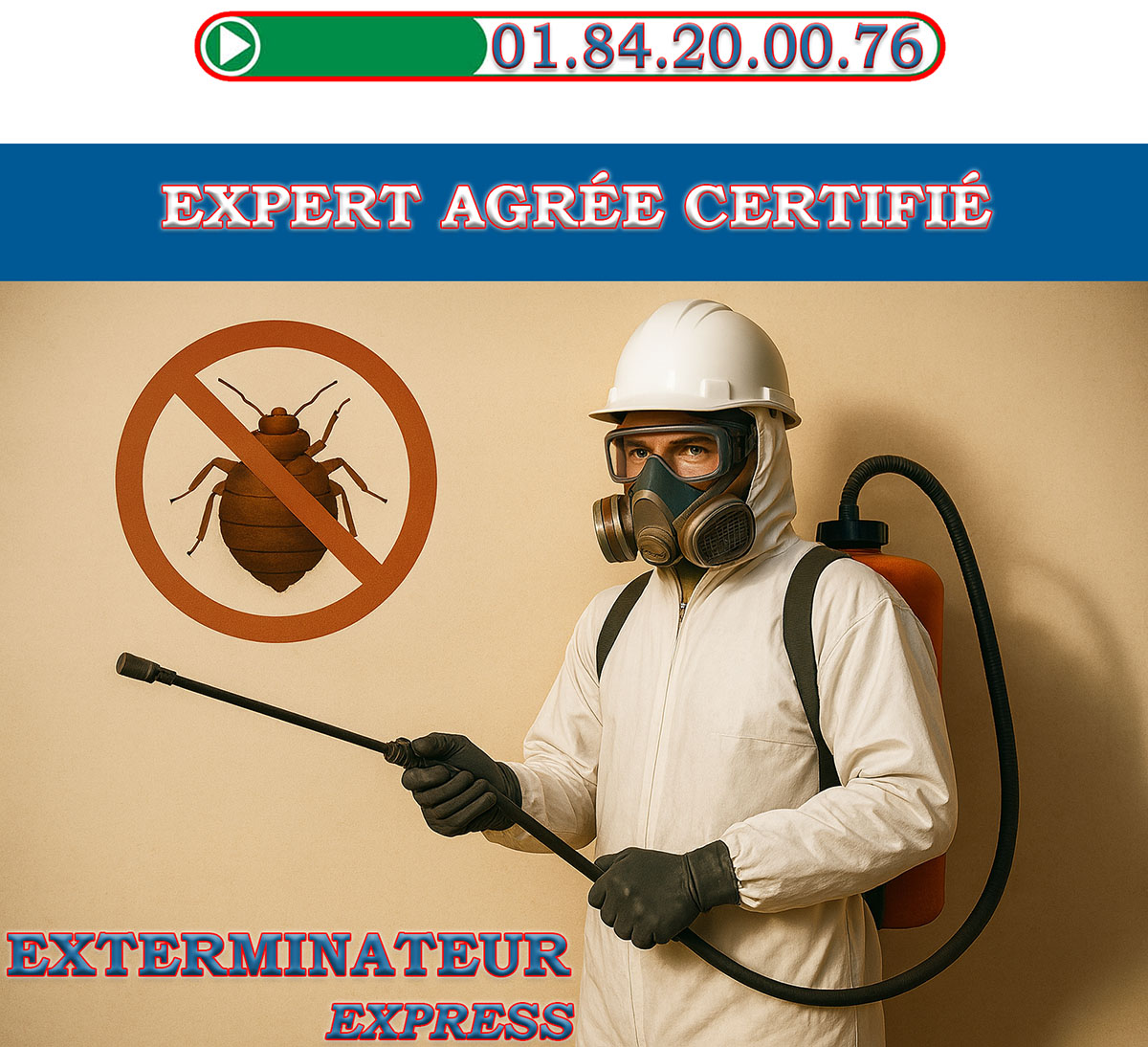 Punaises de Lit Margency